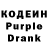 Кодеиновый сироп Lean Purple Drank Timur Sabitov